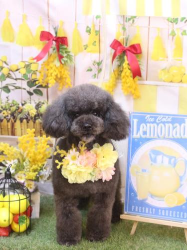 20240412ボーロくん